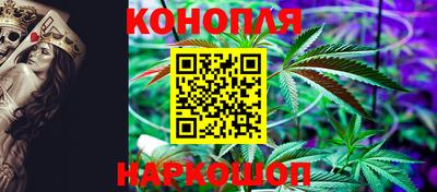 гашик Волгодонск