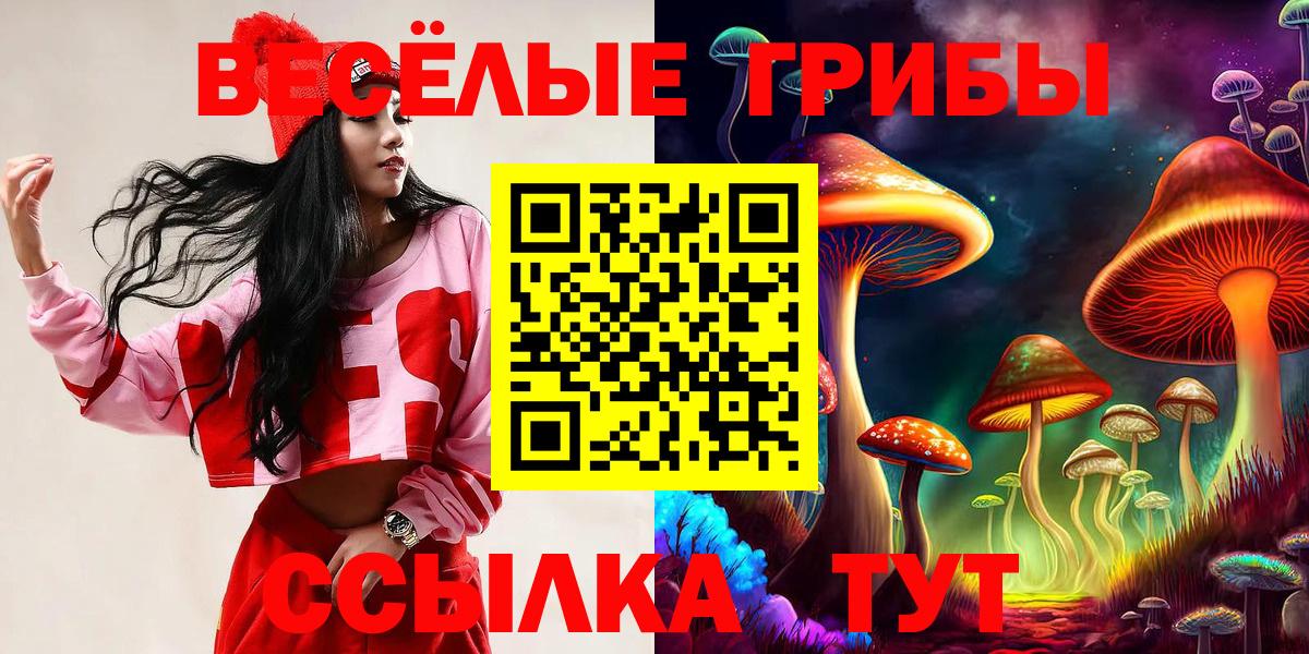 Галлюциногенные грибы Psilocybine cubensis  Вход с VPN  Псилоцибиновые грибы GOLDEN TEACHER  где купить наркоту  Реутов 